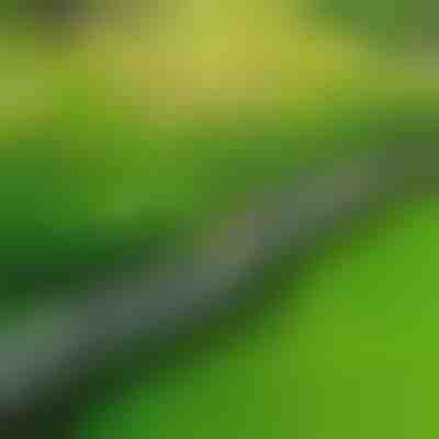 Bordatura da giardino effetto pietra (10 pz.) | MINIFENCE