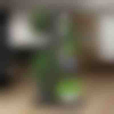 Supporto per vasi di piante | POTSTAGE