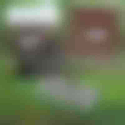 Strumento multifunzionale per la manutenzione del suolo | PRONGSPRO