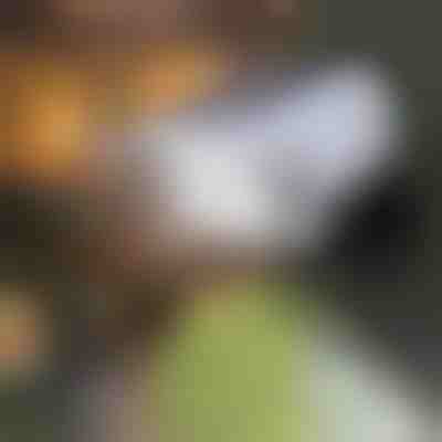 Sensore di movimento a luce solare | LUMACAM