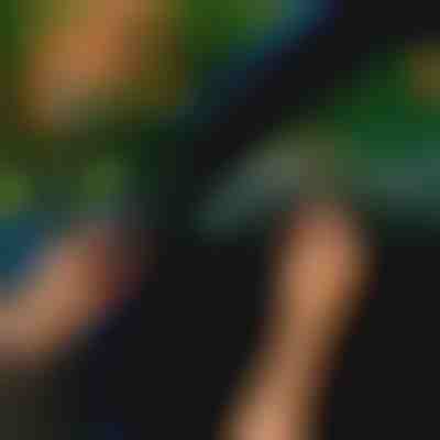 Guarnizione per auto (5m) | EVOSEAL